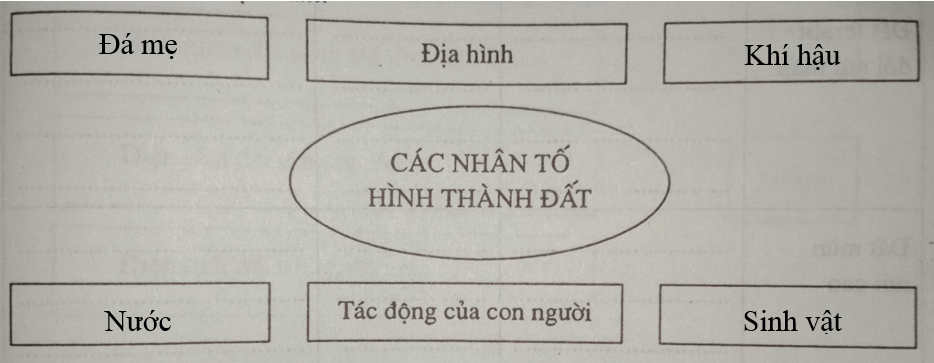 Giải vở bài tập Địa Lí 8 | Giải VBT Địa Lí 8