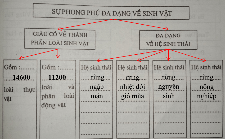 Giải vở bài tập Địa Lí 8 | Giải VBT Địa Lí 8