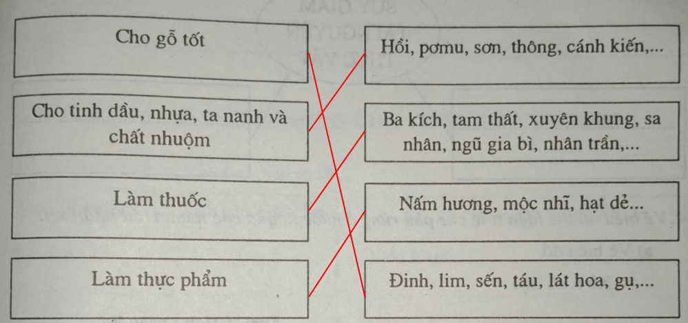 Giải vở bài tập Địa Lí 8 | Giải VBT Địa Lí 8