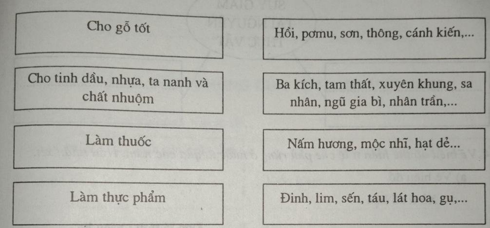 Giải vở bài tập Địa Lí 8 | Giải VBT Địa Lí 8