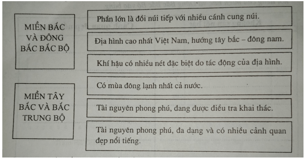 Giải vở bài tập Địa Lí 8 | Giải VBT Địa Lí 8