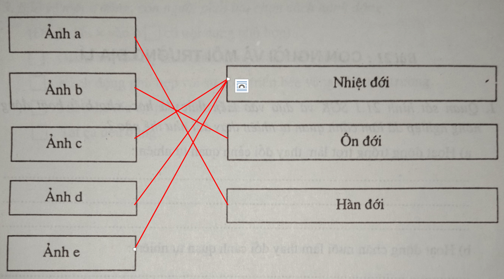 Giải vở bài tập Địa Lí 8 | Giải VBT Địa Lí 8