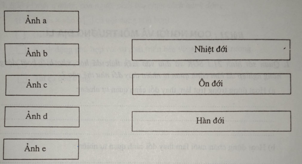 Giải vở bài tập Địa Lí 8 | Giải VBT Địa Lí 8