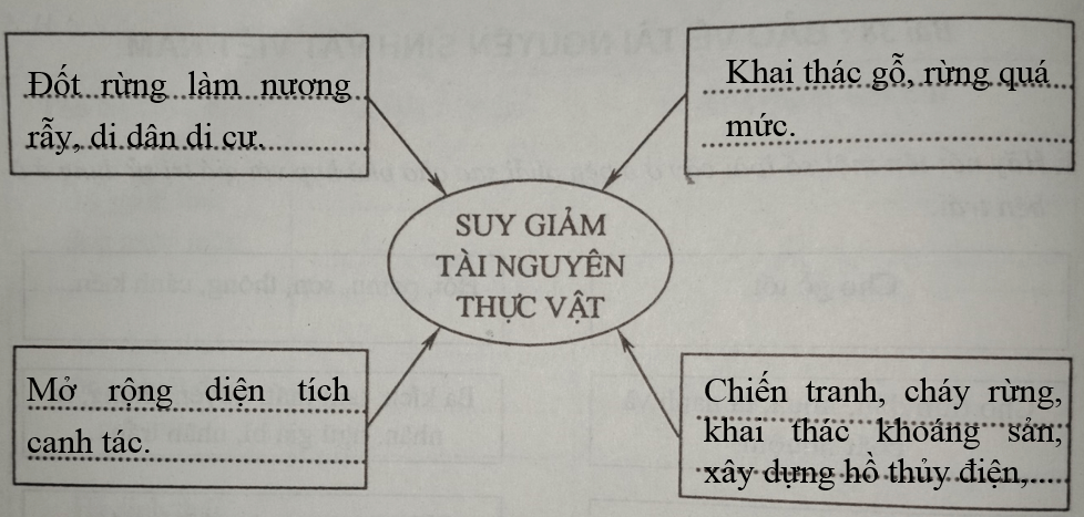 Giải vở bài tập Địa Lí 8 | Giải VBT Địa Lí 8