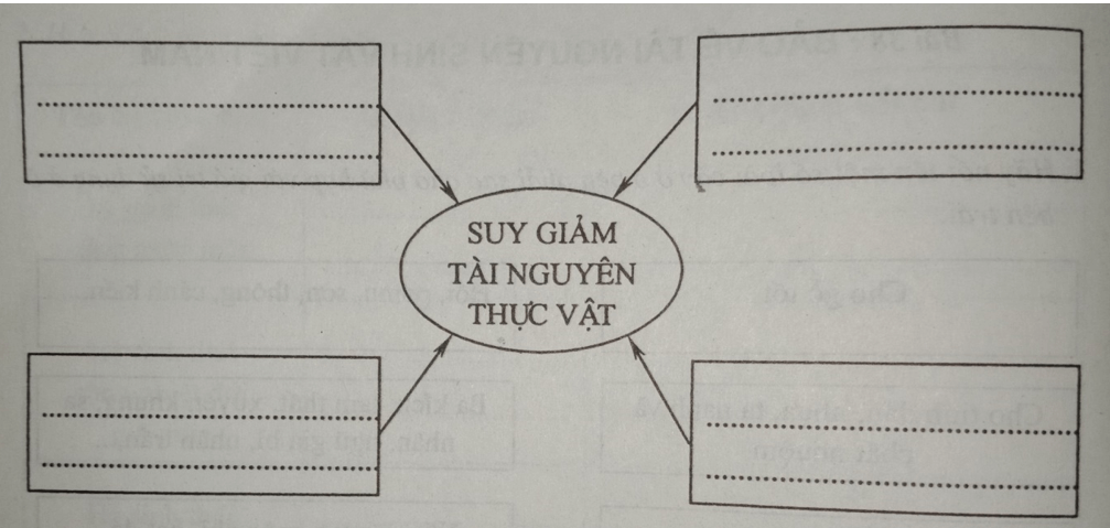 Giải vở bài tập Địa Lí 8 | Giải VBT Địa Lí 8