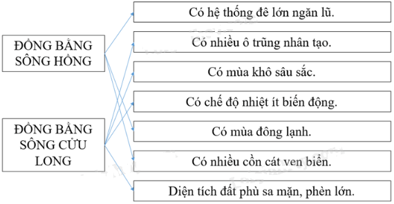 Giải vở bài tập Địa Lí 8 | Giải VBT Địa Lí 8