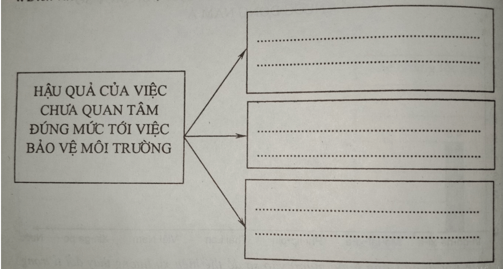 Giải vở bài tập Địa Lí 8 | Giải VBT Địa Lí 8