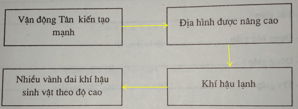 Giải vở bài tập Địa Lí 8 | Giải VBT Địa Lí 8