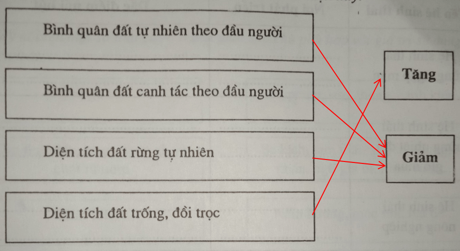 Giải vở bài tập Địa Lí 8 | Giải VBT Địa Lí 8