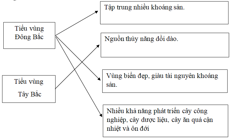 Giải VBT Địa Lí 9 Bài 17: Vùng Trung du và miền núi Bắc Bộ | Giải vở bài tập Địa Lí 9