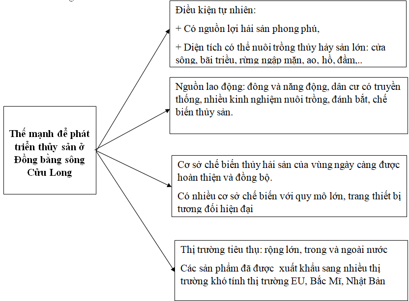 Giải VBT Địa Lí 9 Bài 37: Thực hành: Vẽ và phân tích biểu đồ về tình hình sản xuất của ngành thủy sản ở Đồng bằng sông Cửu Long | Giải vở bài tập Địa Lí 9