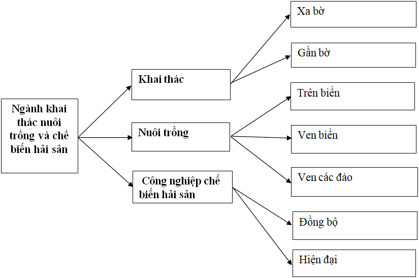 Giải VBT Địa Lí 9 Bài 38: Phát triển tổng hợp kinh tế và bảo vệ tài nguyên, môi trường Biển - Đảo | Giải vở bài tập Địa Lí 9