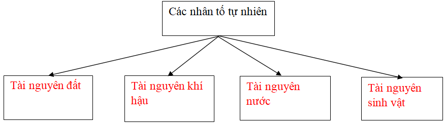 Giải VBT Địa Lí 9 Bài 7: Các nhân tố ảnh hưởng đến sự phát triển và phân bố nông nghiệp | Giải vở bài tập Địa Lí 9