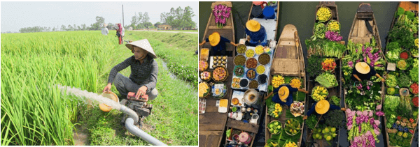 Giải vở bài tập Hóa 8 Bài 36: Nước | Giải Vở bài tập Hóa học 8