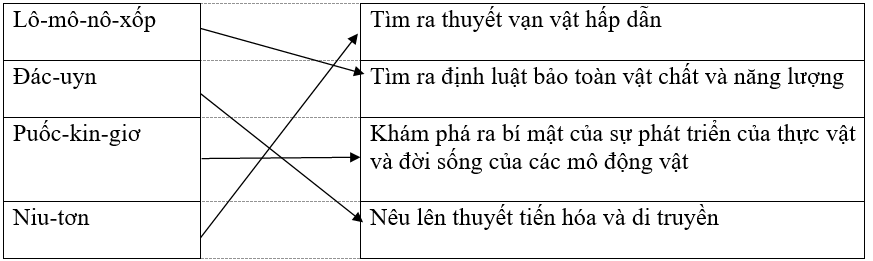 Giải vở bài tập Lịch Sử 8 | Giải VBT Lịch Sử 8