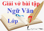 Sách bài tập Ngữ Văn 7 | Giải SBT Ngữ văn 7 | SBT Ngữ văn 7 Kết nối tri thức, Cánh diều, Chân trời sáng tạo | Giải sách bài tập Ngữ Văn lớp 7 hay nhất | Giải SBT Ngữ Văn 7 Tập 1, Tập 2