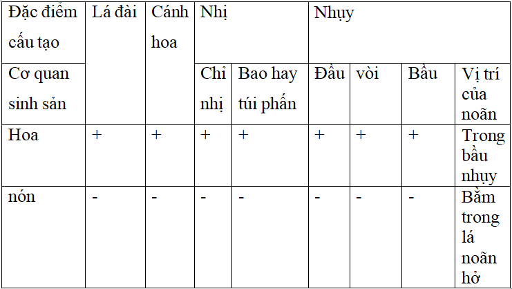 Bài 40: Hạt trần - Cây thông | Giải VBT Sinh học lớp 6