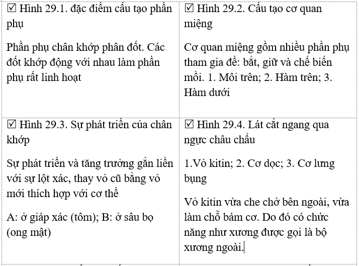 Giải vở bài tập Sinh học 7 | Giải VBT Sinh học 7