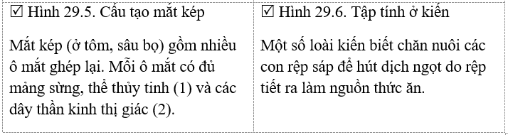 Giải vở bài tập Sinh học 7 | Giải VBT Sinh học 7