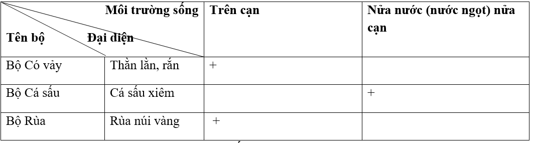 Giải vở bài tập Sinh học 7 | Giải VBT Sinh học 7