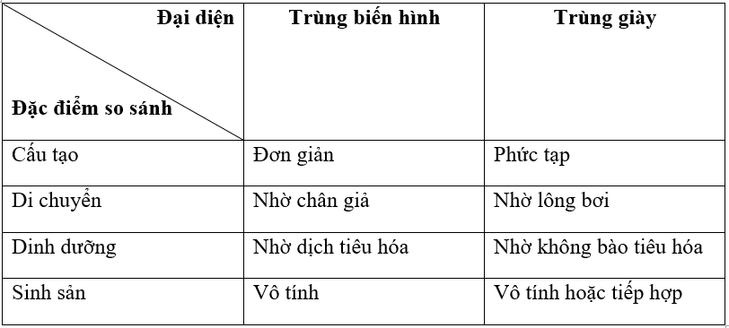 Giải vở bài tập Sinh học 7 | Giải VBT Sinh học 7