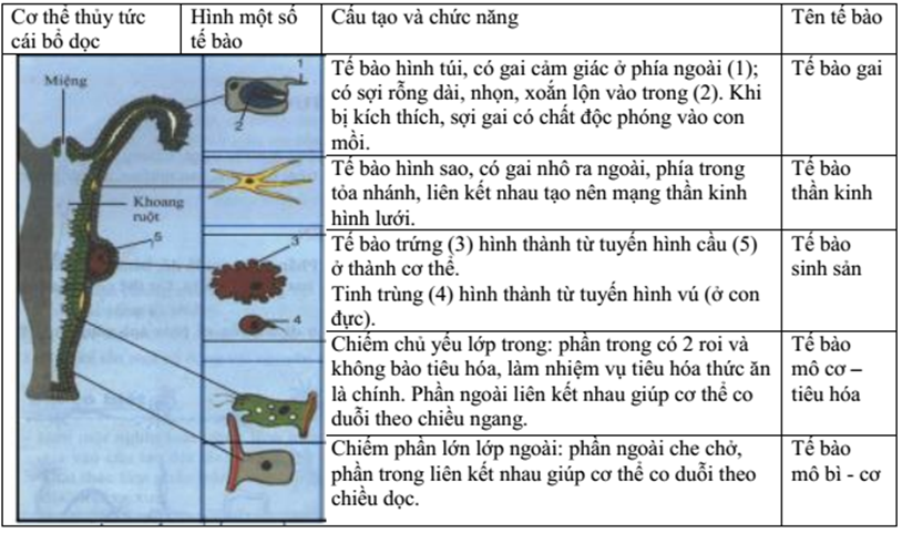 Giải vở bài tập Sinh học 7 | Giải VBT Sinh học 7