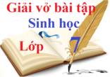 Giải vở bài tập Sinh học 7 | Giải VBT Sinh học lớp 7