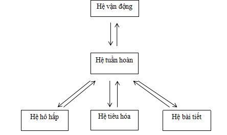 Giải vở bài tập Sinh học 8 | Giải VBT Sinh học 8