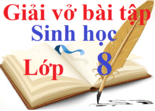 Giải vở bài tập Sinh học 8 | Giải VBT Sinh học lớp 8