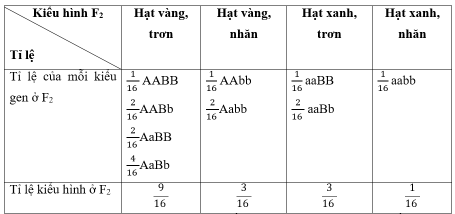 Giải vở bài tập Sinh học 9 | Giải VBT Sinh học 9