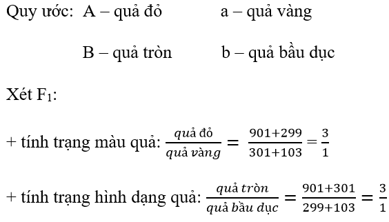 Giải vở bài tập Sinh học 9 | Giải VBT Sinh học 9