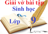 Giải vở bài tập Sinh học 9 | Giải VBT Sinh học lớp 9