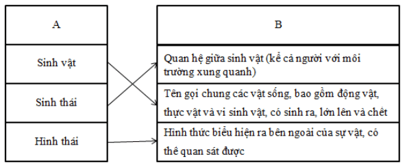 Giải bài tập VBT Tiếng Việt 5 | Trả lời câu hỏi VBT Tiếng Việt 5