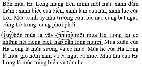 Giải bài tập VBT Tiếng Việt 5 | Trả lời câu hỏi VBT Tiếng Việt 5