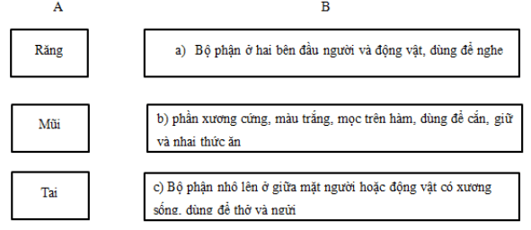 Giải bài tập VBT Tiếng Việt 5 | Trả lời câu hỏi VBT Tiếng Việt 5