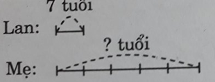 Giải vở bài tập Toán lớp 3 hay nhất, chi tiết