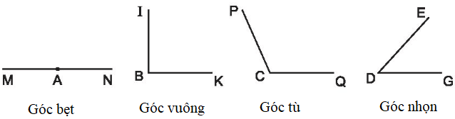 Giải Vở bài tập Toán lớp 4 trang 46 Tập 1 (sách mới)