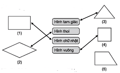 Vở bài tập Toán lớp 4 trang 56 (Tập 1, Tập 2 sách mới)