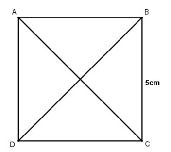 Giải VBT Toán lớp 4 trang 54 (sách mới)