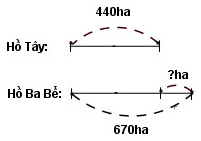 Vở bài tập Toán lớp 5 Tập 1 trang 36, 37 Bài 27: Héc-ta