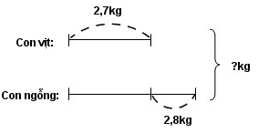 Giải vở bài tập Toán lớp 5 hay nhất, chi tiết