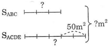 Vở bài tập Toán lớp 5 Tập 2 trang 113, 114 Bài 165: Luyện tập