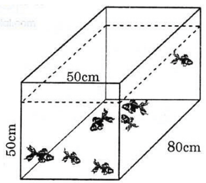 Vở bài tập Toán lớp 5 Tập 2 trang 132, 133 Bài 174: Luyện tập chung