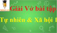 Giải Vở bài tập Tự nhiên và Xã hội 1