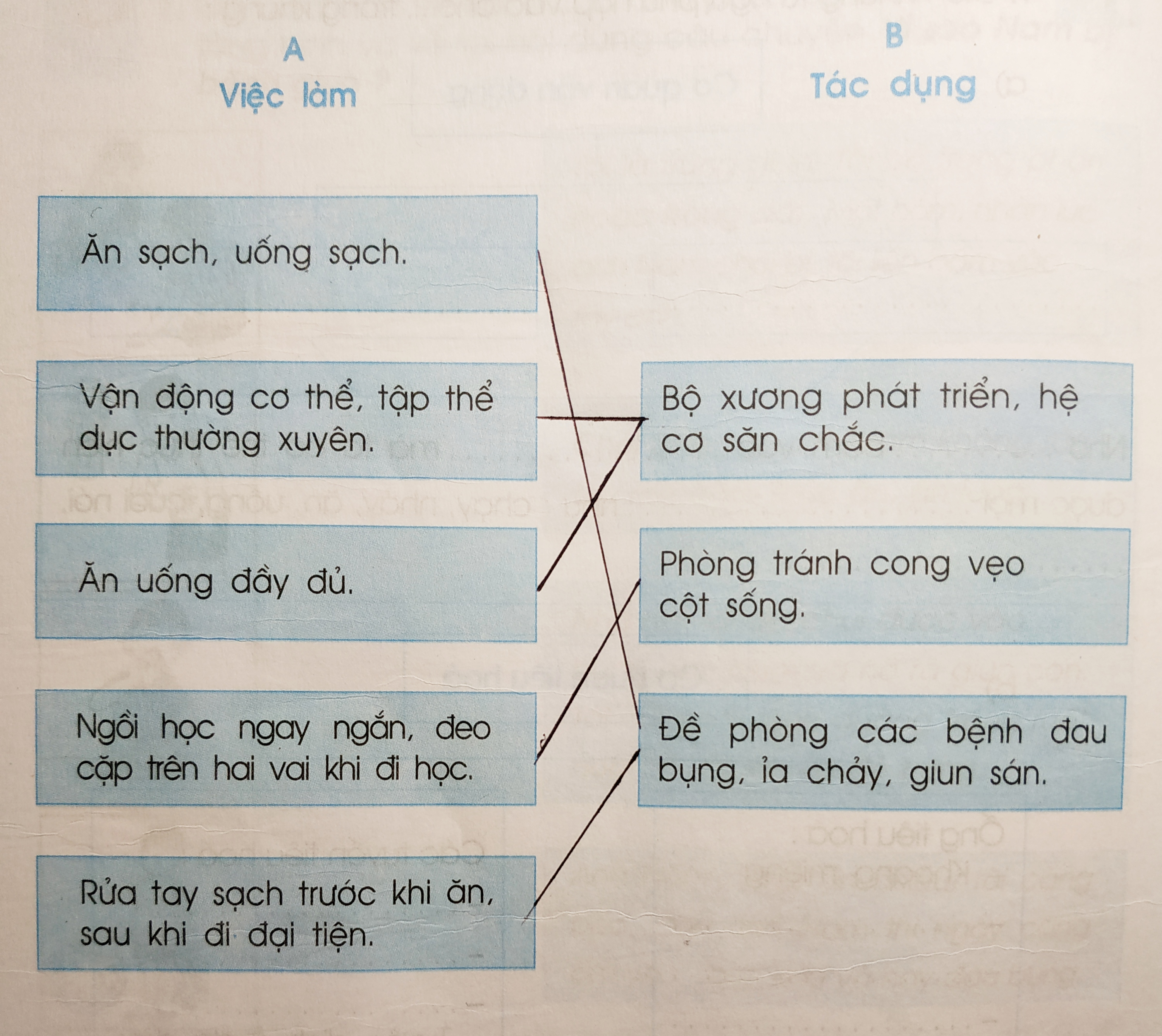 Vở bài tập Tự nhiên và Xã hội lớp 2 Bài 10: Ôn tập: Con người và sức khoẻ | Hay nhất Giải VBT Tự nhiên và Xã hội 2