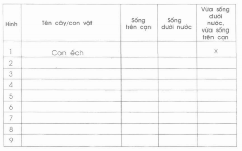 Vở bài tập Tự nhiên và Xã hội lớp 2 Bài 30: Nhận biết cây cối và các con vật | Hay nhất Giải VBT Tự nhiên và Xã hội 2