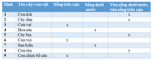 Vở bài tập Tự nhiên và Xã hội lớp 2 Bài 30: Nhận biết cây cối và các con vật | Hay nhất Giải VBT Tự nhiên và Xã hội 2