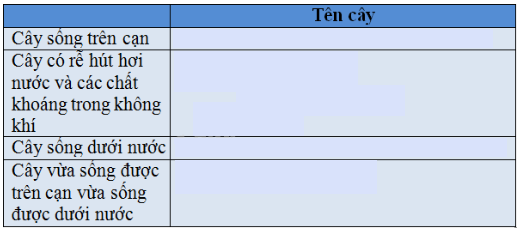 Vở bài tập Tự nhiên và Xã hội lớp 2 Bài 34 - 35: Ôn tập tự nhiên | Hay nhất Giải VBT Tự nhiên và Xã hội 2