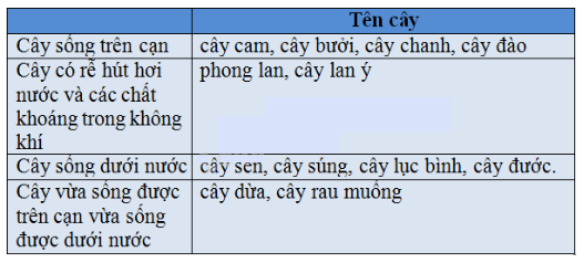 Vở bài tập Tự nhiên và Xã hội lớp 2 Bài 34 - 35: Ôn tập tự nhiên | Hay nhất Giải VBT Tự nhiên và Xã hội 2