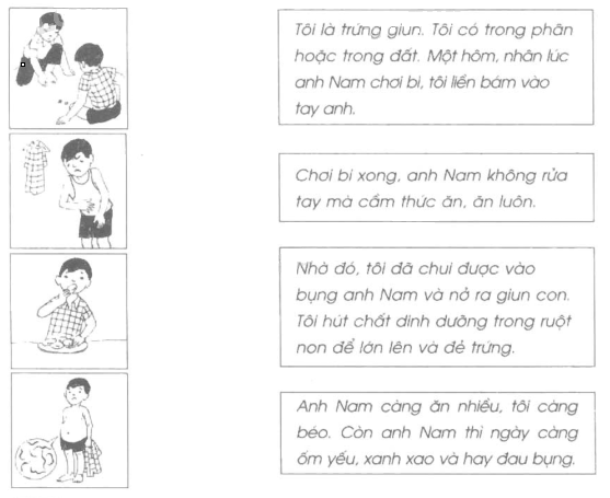 Vở bài tập Tự nhiên và Xã hội lớp 2 Bài 9: Đề phòng bệnh giun | Hay nhất Giải VBT Tự nhiên và Xã hội 2